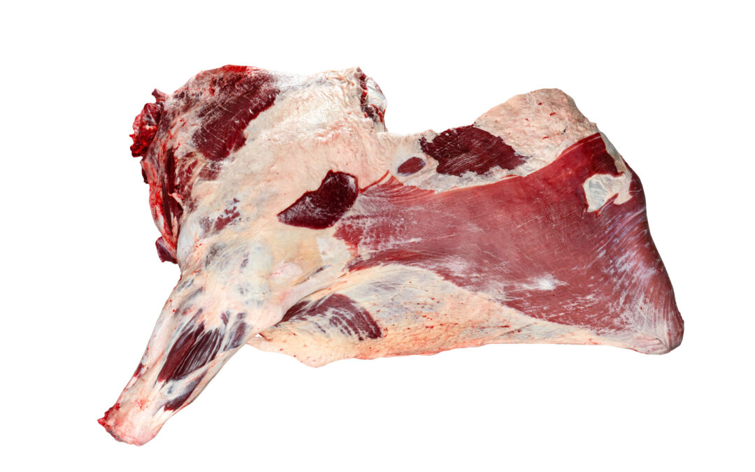 Ćwierćtusza Przednia Pistoletowa z Łatą (1050)