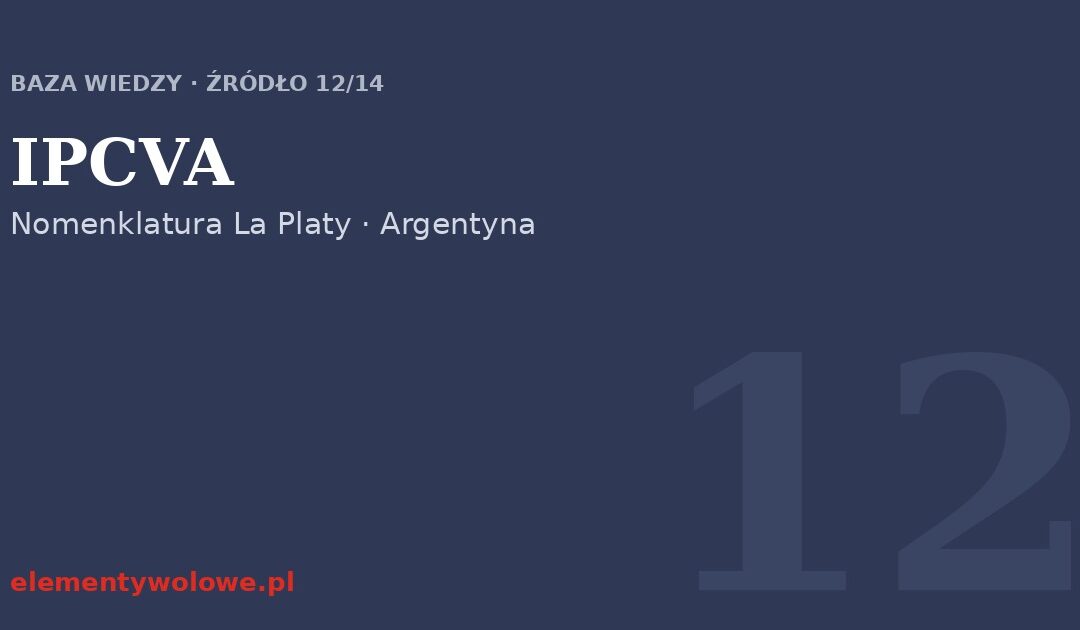 IPCVA — nomenklatura południowoamerykańska (Argentyna)