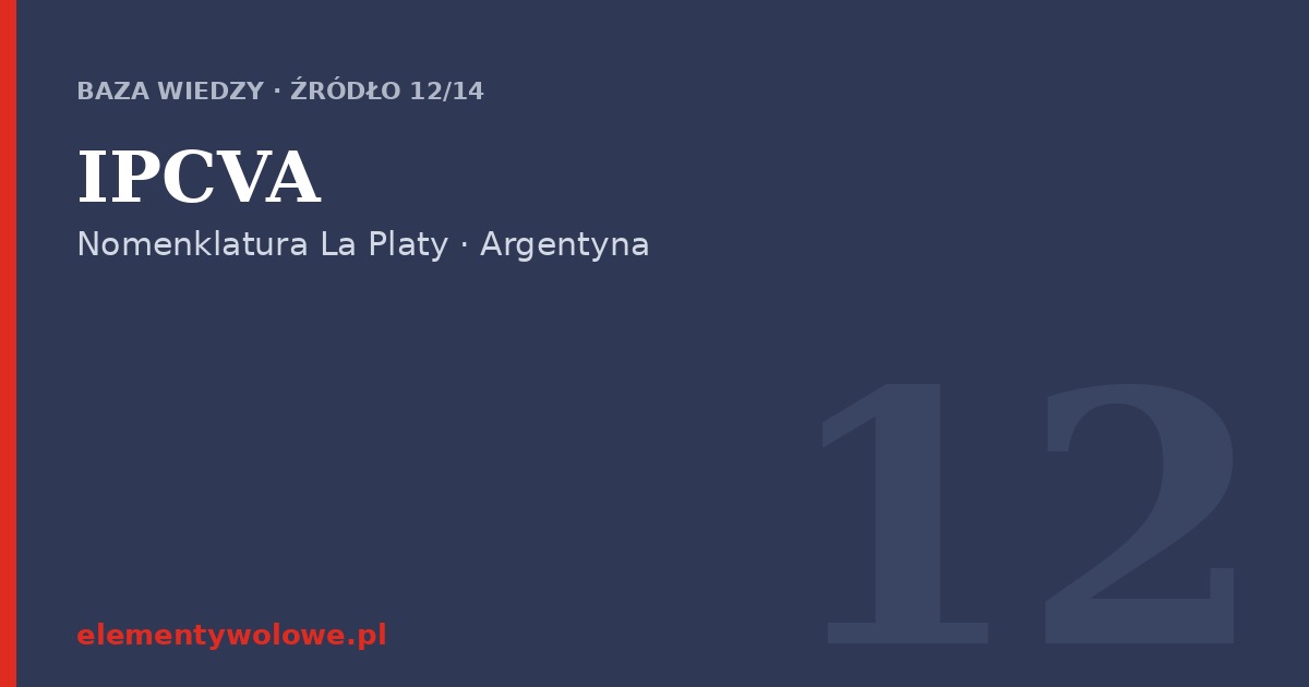 IPCVA — nomenklatura południowoamerykańska (Argentyna)