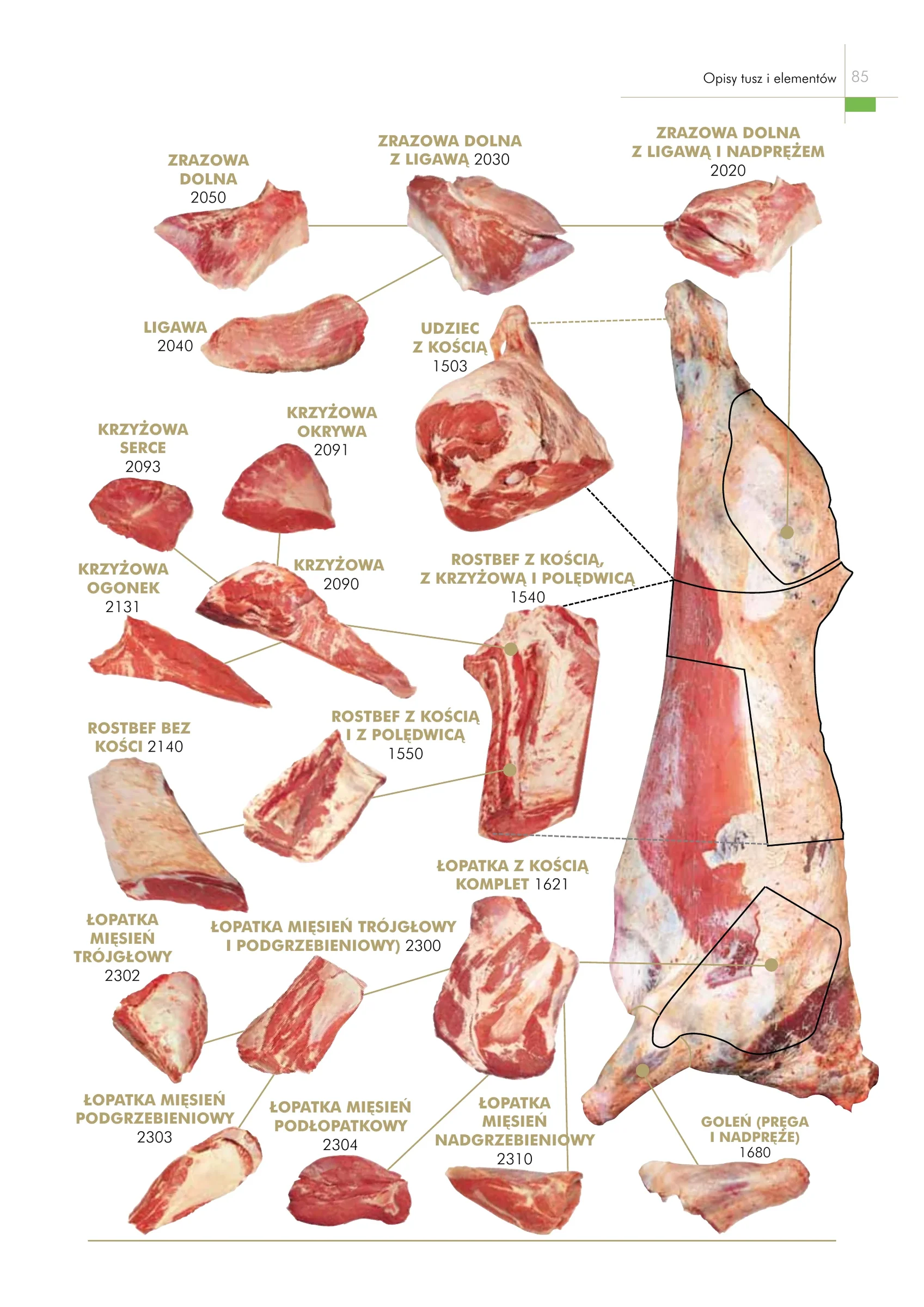 Diagram rozbioru półtuszy wołowej — katalog Standardy mięsa wołowego, s. 85