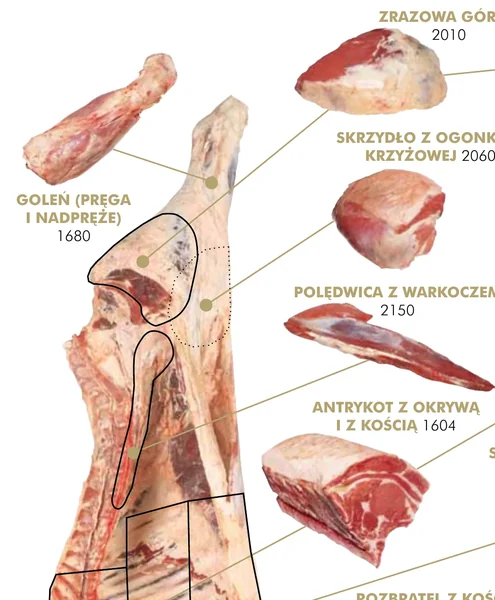 Fragment diagramu rozbioru z katalogu Standardy mięsa wołowego